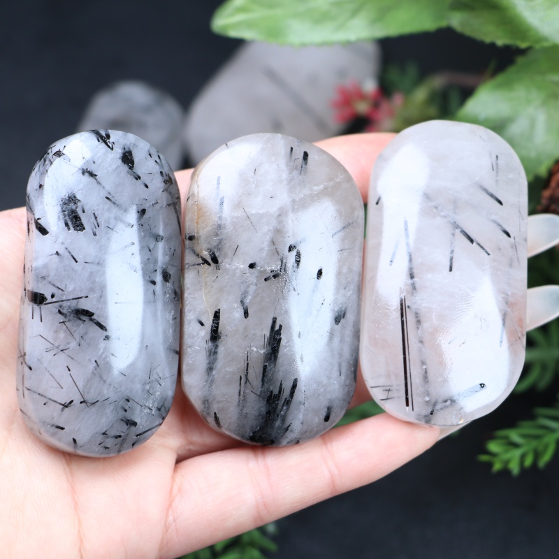 Office Furniture In China - 1개 천연 장식용 야자나무 랜덤 블랙